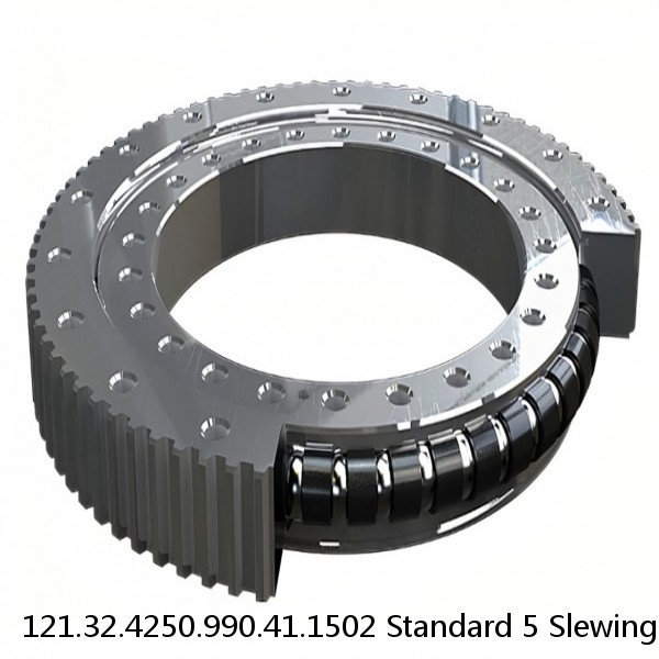 121.32.4250.990.41.1502 Standard 5 Slewing Ring Bearings