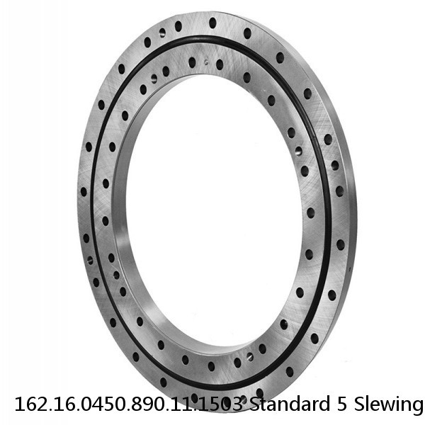 162.16.0450.890.11.1503 Standard 5 Slewing Ring Bearings