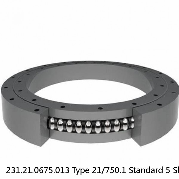 231.21.0675.013 Type 21/750.1 Standard 5 Slewing Ring Bearings