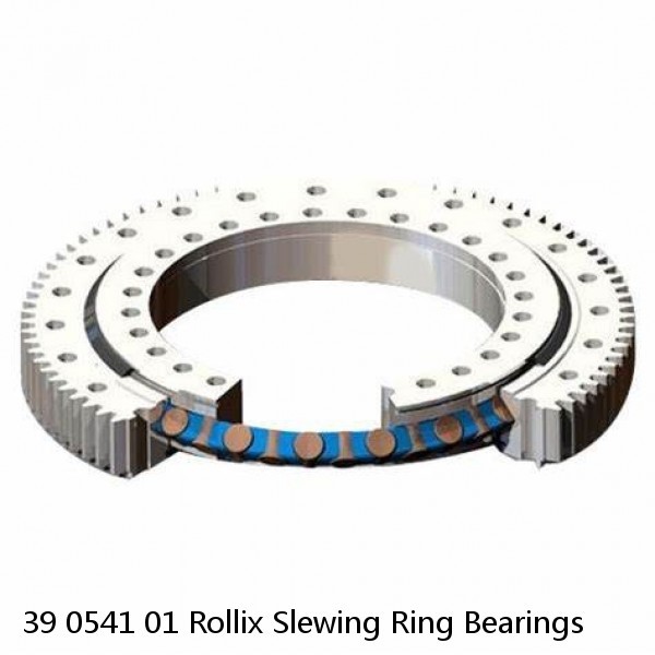 39 0541 01 Rollix Slewing Ring Bearings