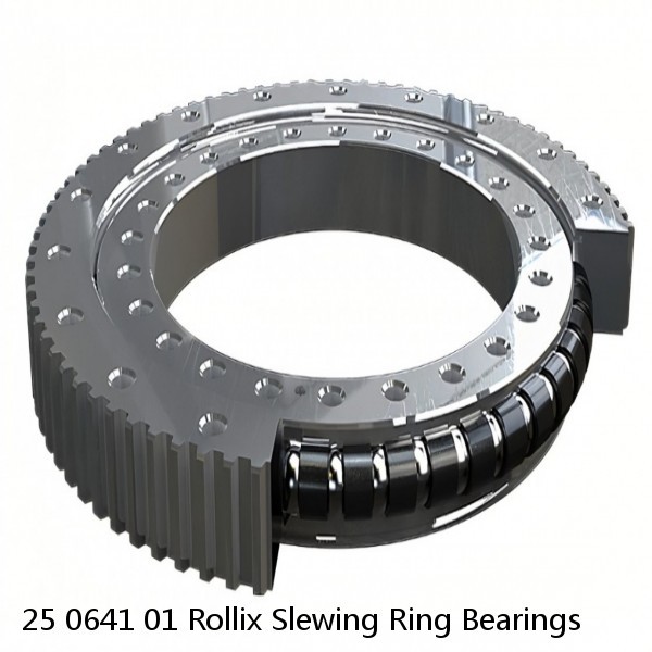 25 0641 01 Rollix Slewing Ring Bearings