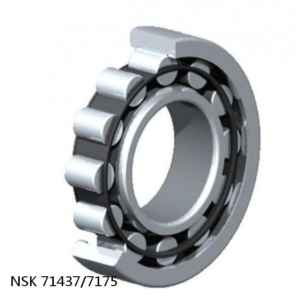 71437/7175 NSK CYLINDRICAL ROLLER BEARING