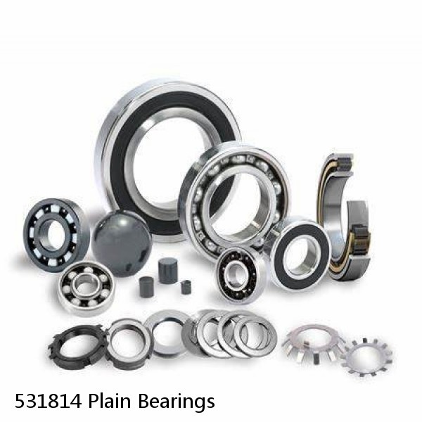 531814 Plain Bearings