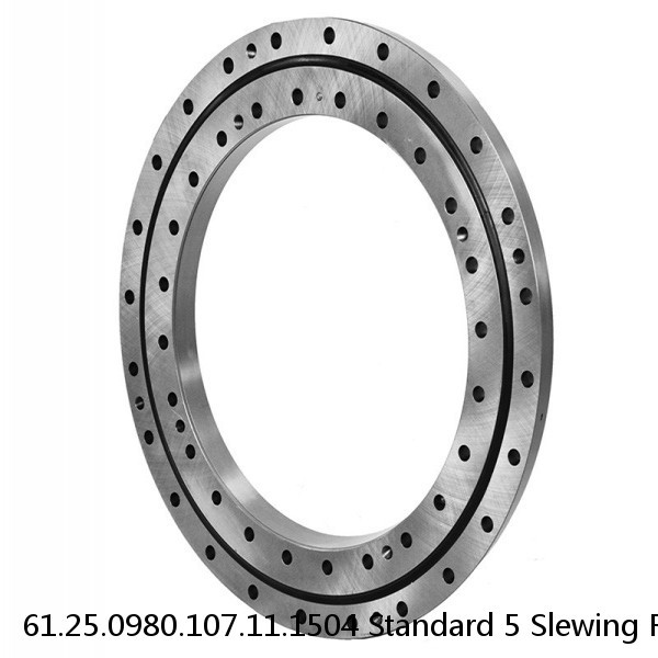 61.25.0980.107.11.1504 Standard 5 Slewing Ring Bearings #1 small image