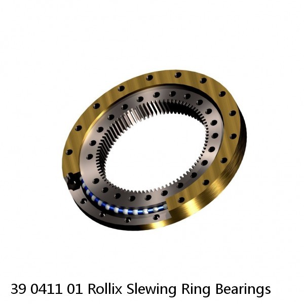 39 0411 01 Rollix Slewing Ring Bearings #1 small image