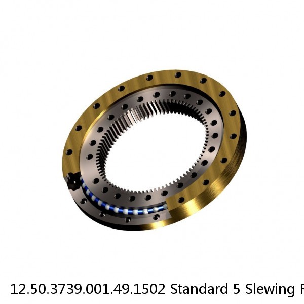 12.50.3739.001.49.1502 Standard 5 Slewing Ring Bearings #1 small image