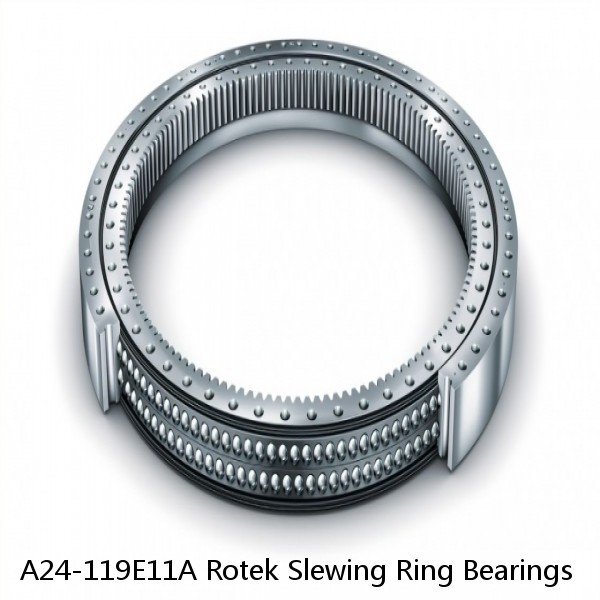 A24-119E11A Rotek Slewing Ring Bearings