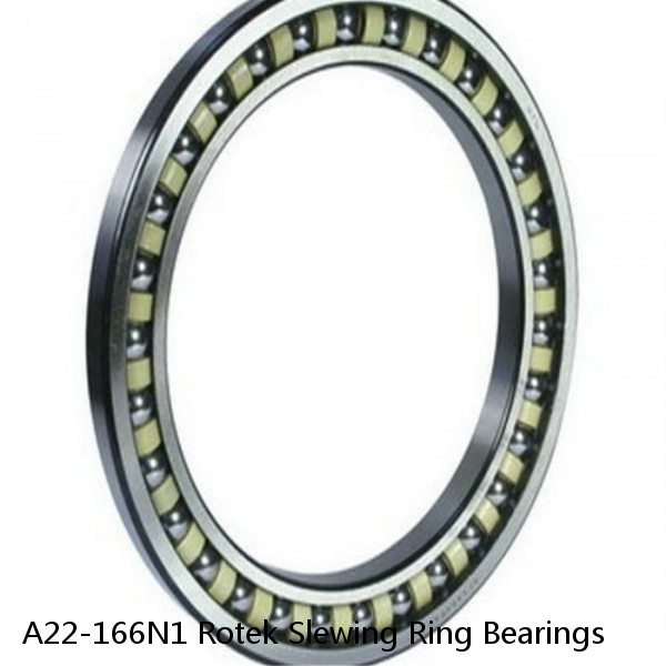 A22-166N1 Rotek Slewing Ring Bearings #1 small image