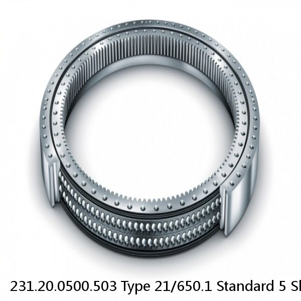 231.20.0500.503 Type 21/650.1 Standard 5 Slewing Ring Bearings #1 small image