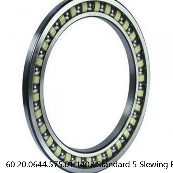 60.20.0644.575.01.1403 Standard 5 Slewing Ring Bearings