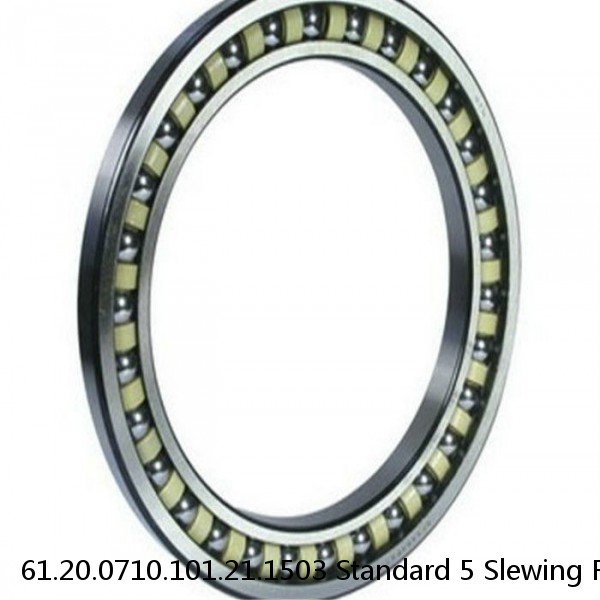 61.20.0710.101.21.1503 Standard 5 Slewing Ring Bearings #1 small image