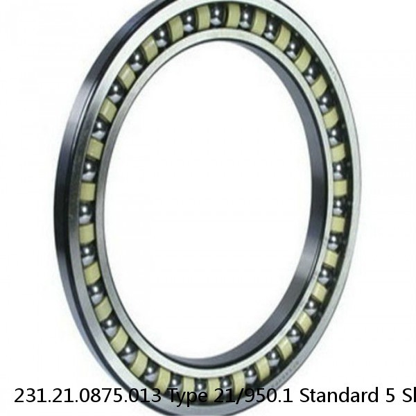 231.21.0875.013 Type 21/950.1 Standard 5 Slewing Ring Bearings #1 small image