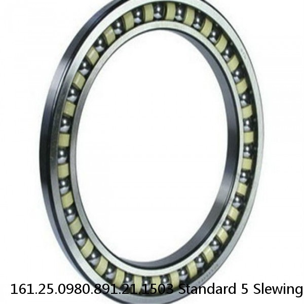 161.25.0980.891.21.1503 Standard 5 Slewing Ring Bearings