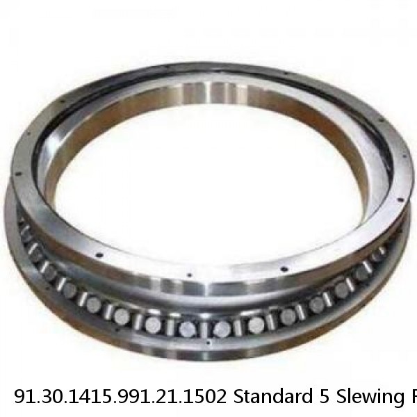 91.30.1415.991.21.1502 Standard 5 Slewing Ring Bearings