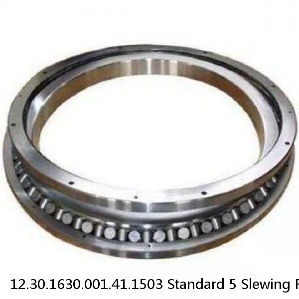 12.30.1630.001.41.1503 Standard 5 Slewing Ring Bearings