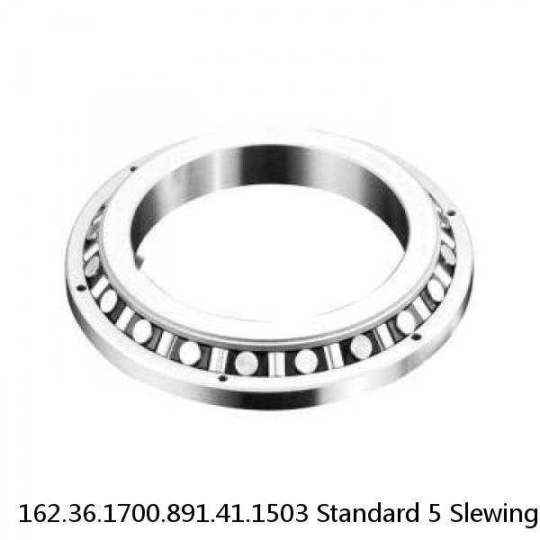 162.36.1700.891.41.1503 Standard 5 Slewing Ring Bearings #1 small image