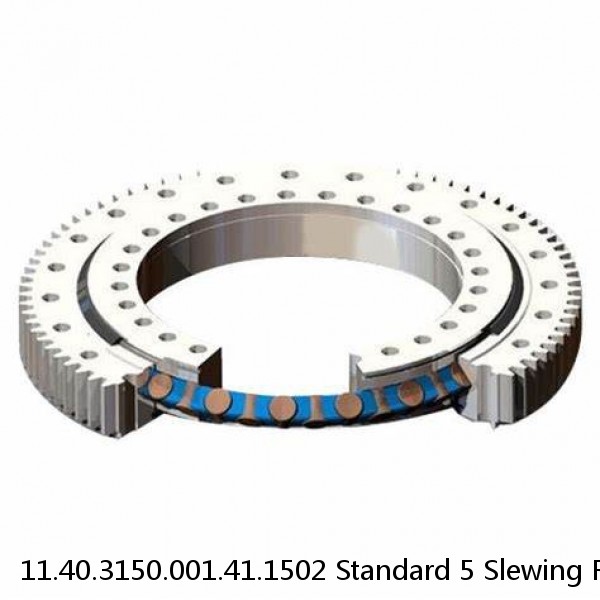 11.40.3150.001.41.1502 Standard 5 Slewing Ring Bearings #1 small image