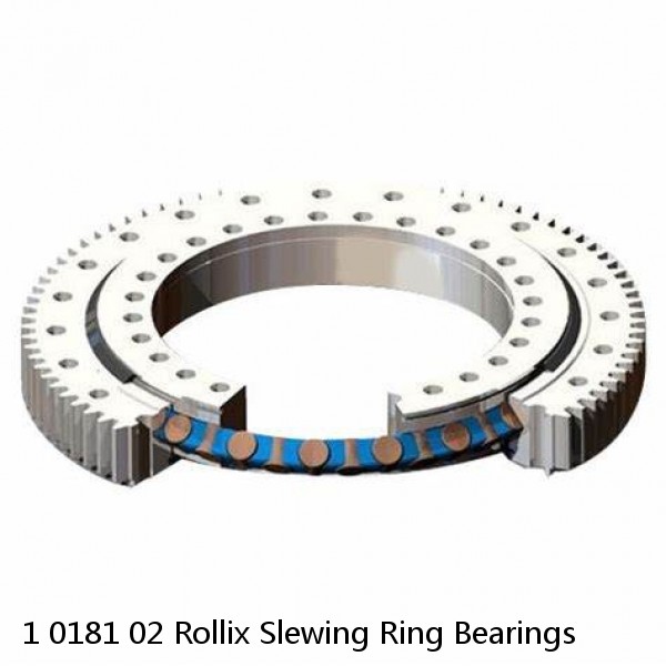 1 0181 02 Rollix Slewing Ring Bearings