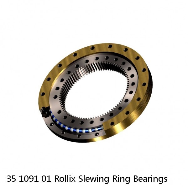 35 1091 01 Rollix Slewing Ring Bearings #1 image