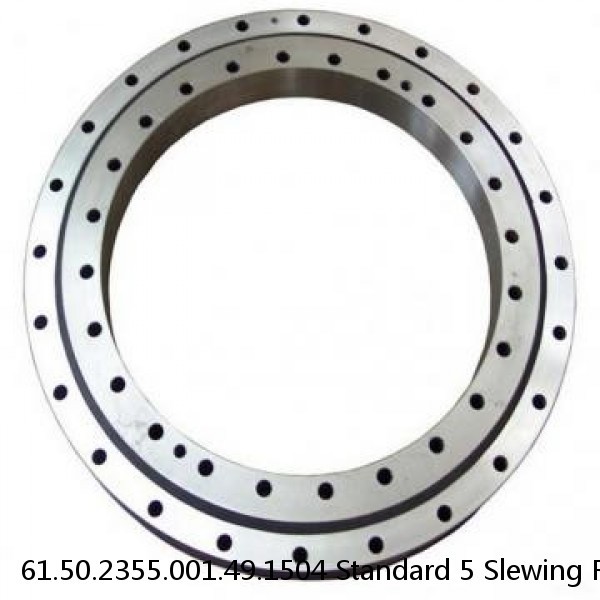 61.50.2355.001.49.1504 Standard 5 Slewing Ring Bearings #1 image