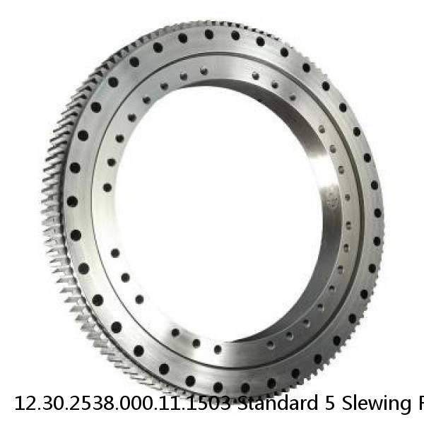 12.30.2538.000.11.1503 Standard 5 Slewing Ring Bearings #1 image