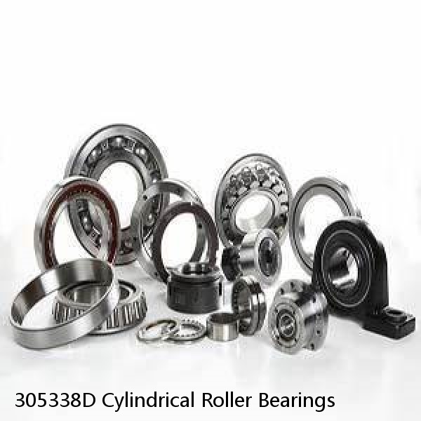 305338D Cylindrical Roller Bearings #1 image