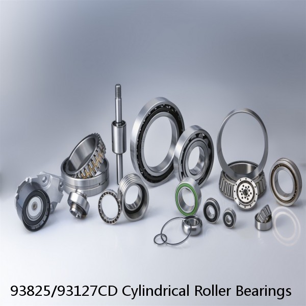 93825/93127CD Cylindrical Roller Bearings #1 image