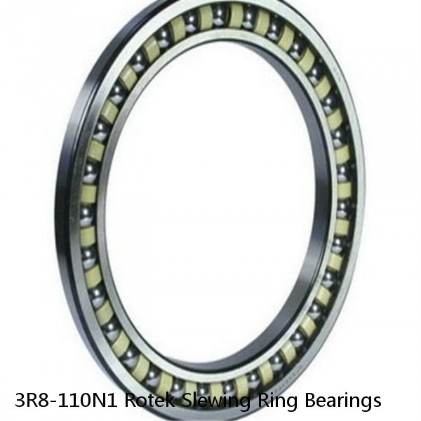 3R8-110N1 Rotek Slewing Ring Bearings #1 image