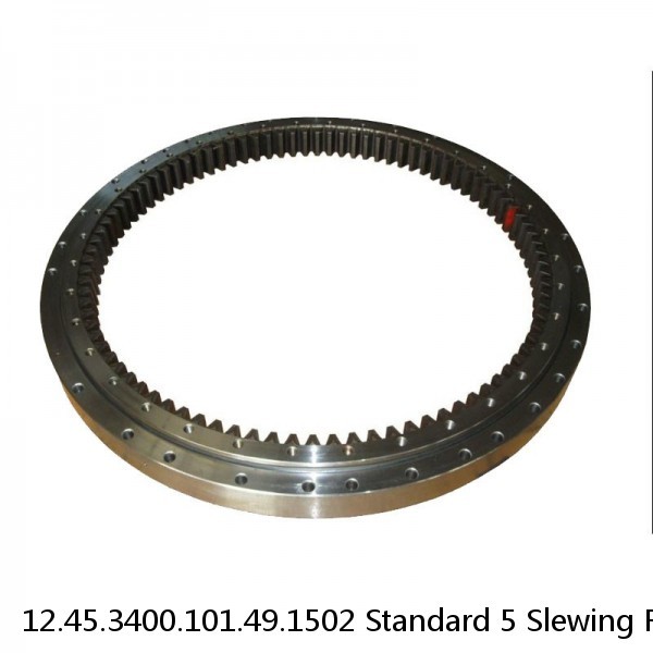 12.45.3400.101.49.1502 Standard 5 Slewing Ring Bearings #1 image