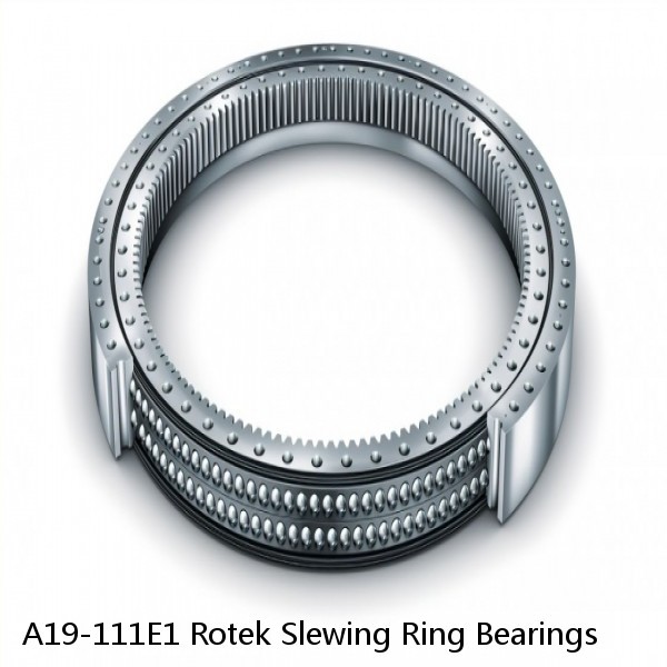 A19-111E1 Rotek Slewing Ring Bearings #1 image