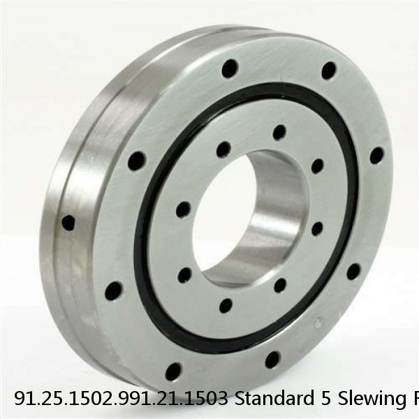 91.25.1502.991.21.1503 Standard 5 Slewing Ring Bearings #1 image