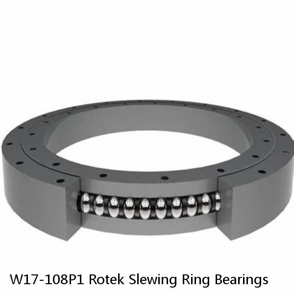 W17-108P1 Rotek Slewing Ring Bearings #1 image