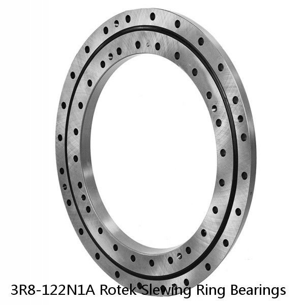 3R8-122N1A Rotek Slewing Ring Bearings #1 image