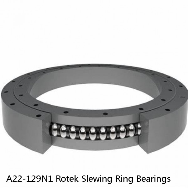 A22-129N1 Rotek Slewing Ring Bearings #1 image