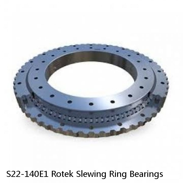 S22-140E1 Rotek Slewing Ring Bearings #1 image