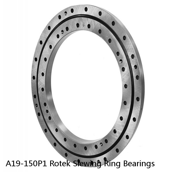 A19-150P1 Rotek Slewing Ring Bearings #1 image