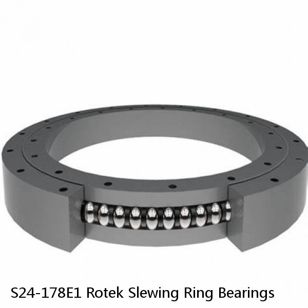 S24-178E1 Rotek Slewing Ring Bearings #1 image