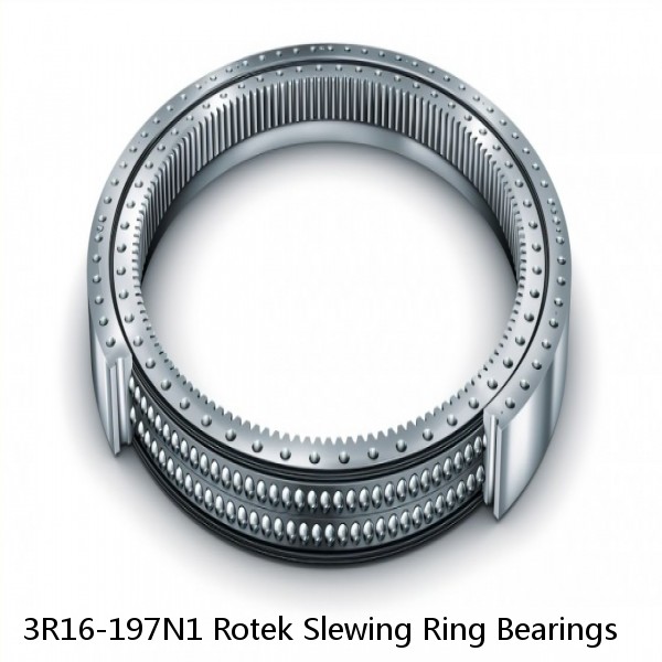 3R16-197N1 Rotek Slewing Ring Bearings #1 image