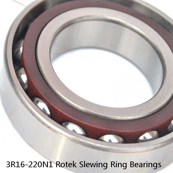 3R16-220N1 Rotek Slewing Ring Bearings #1 image