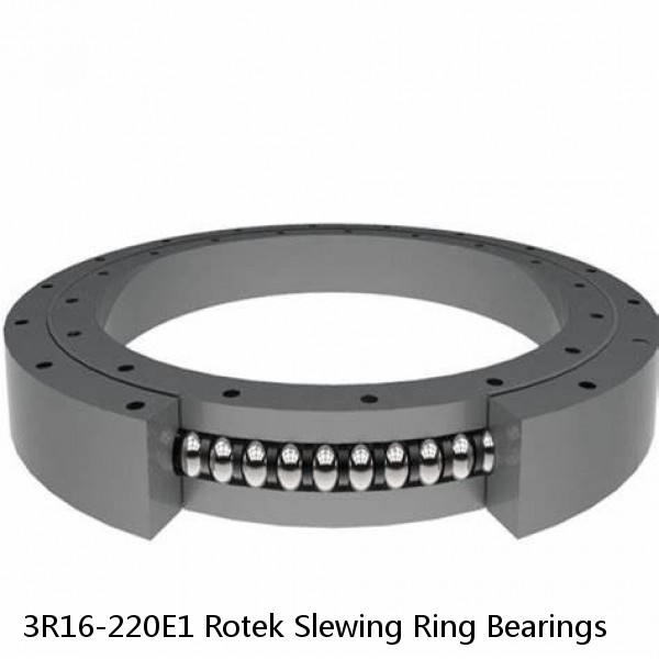 3R16-220E1 Rotek Slewing Ring Bearings #1 image