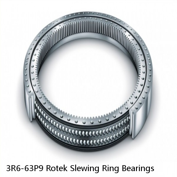 3R6-63P9 Rotek Slewing Ring Bearings #1 image