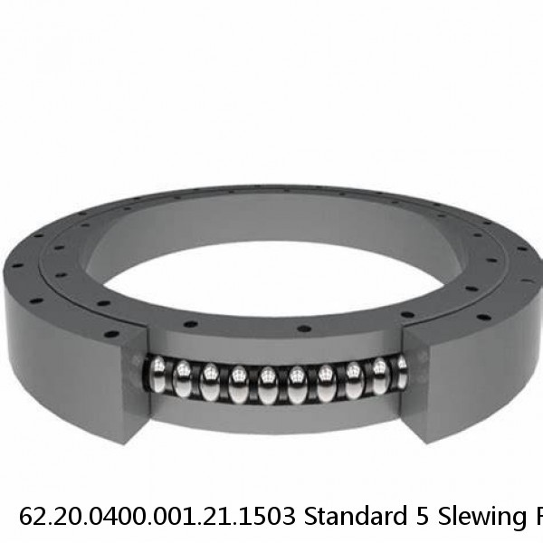 62.20.0400.001.21.1503 Standard 5 Slewing Ring Bearings #1 image