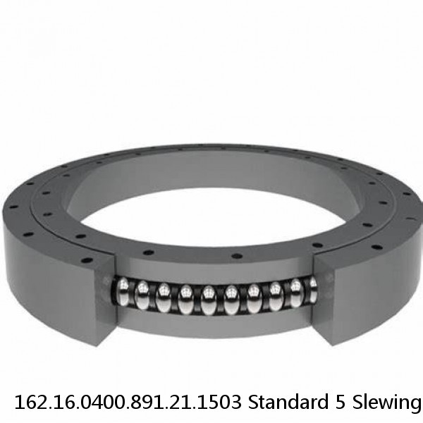 162.16.0400.891.21.1503 Standard 5 Slewing Ring Bearings #1 image