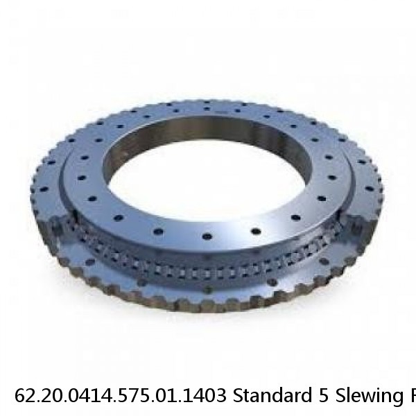 62.20.0414.575.01.1403 Standard 5 Slewing Ring Bearings #1 image