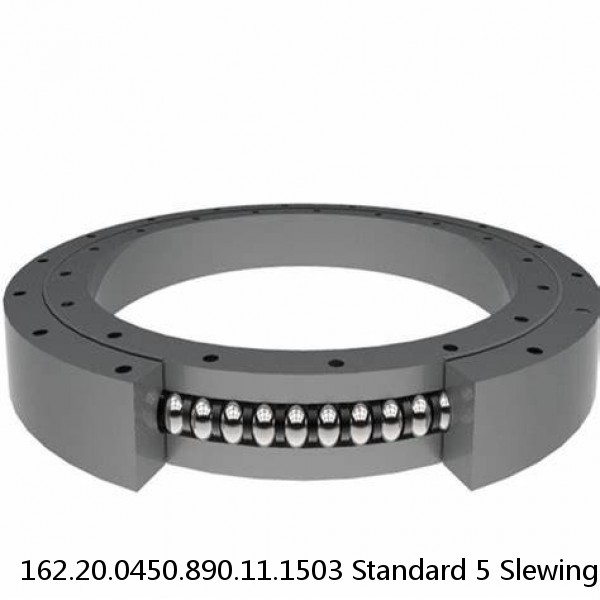 162.20.0450.890.11.1503 Standard 5 Slewing Ring Bearings #1 image