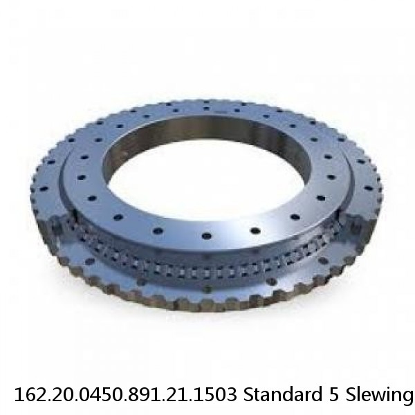 162.20.0450.891.21.1503 Standard 5 Slewing Ring Bearings #1 image