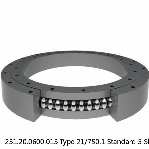 231.20.0600.013 Type 21/750.1 Standard 5 Slewing Ring Bearings #1 image