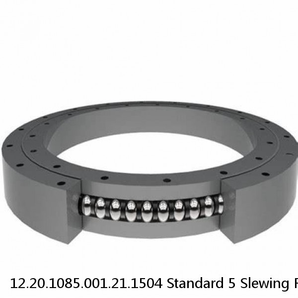 12.20.1085.001.21.1504 Standard 5 Slewing Ring Bearings #1 image