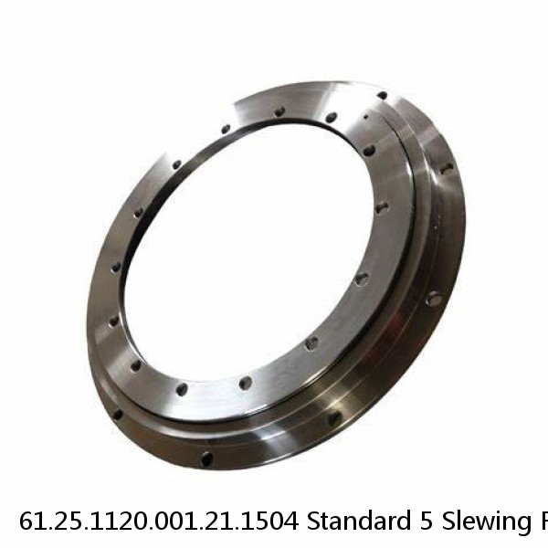 61.25.1120.001.21.1504 Standard 5 Slewing Ring Bearings #1 image