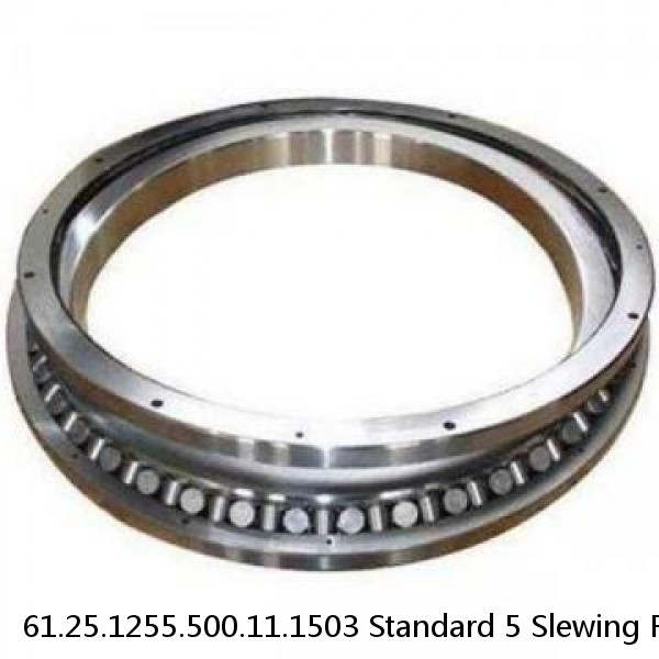 61.25.1255.500.11.1503 Standard 5 Slewing Ring Bearings #1 image